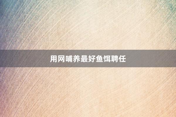 用网哺养最好鱼饵聘任