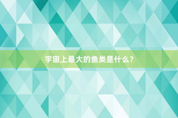 宇宙上最大的鱼类是什么?