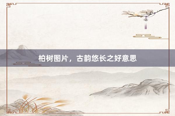 柏树图片,古韵悠长之好意思